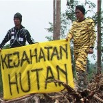 Kejahatan Hutan