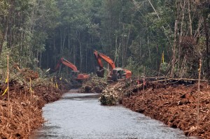 Penggusuran Hutan oleh PT. PT Asia Tani Persada (2012/09/27)