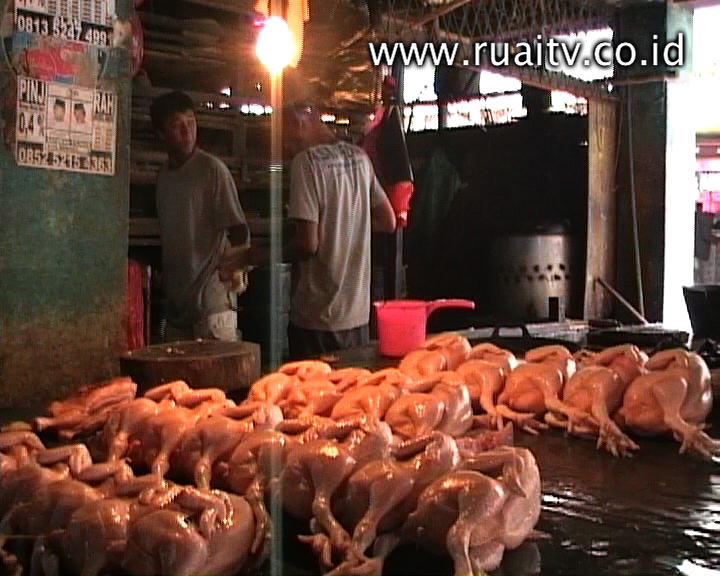 Ayam - Ruai TV