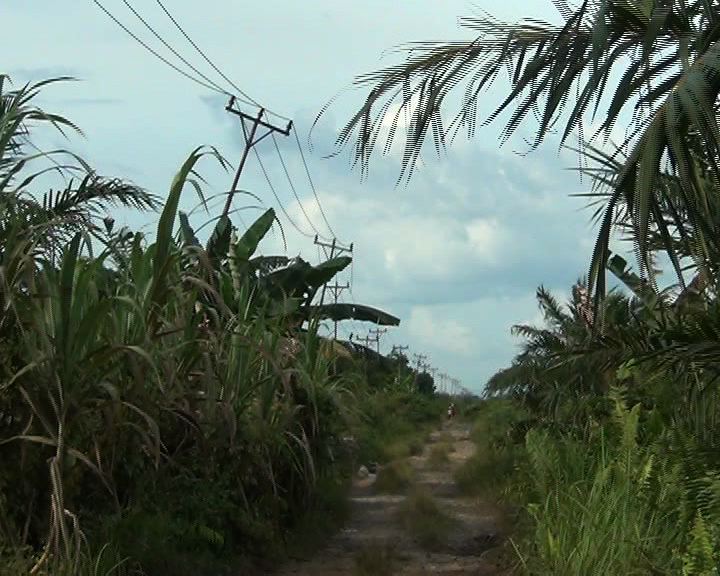 Tiang Listrik - Ruai TV