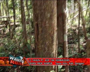 12 Tahun PT KGP Tak Kembalikan Lahan Milik Warga Tayan Hulu