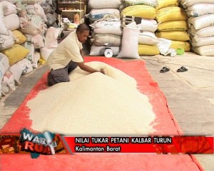 Nilai Tukar Petani Kalbar Turun