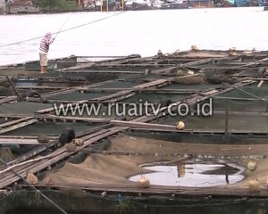 PDAM Akan tindak lanjuti aspirasi petani kerambah