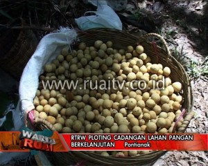 RTRW Ploting cadangan Lahan pangan berkelanjutan
