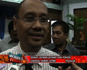 kawat layang layang dan pohon ganggu aliran listrik