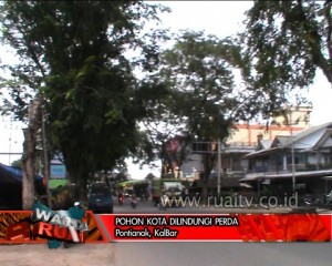 POHON KOTA DILINDUNGI