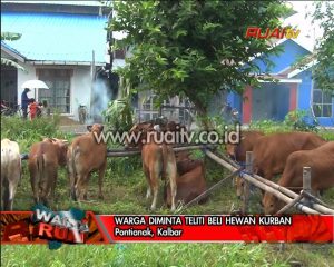 WARGA DIMINTA TELITI BELI HEWAN KURBAN
