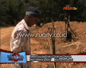 AMAN KALBAR TERUS DORONG PERDA MASYARAKAT ADAT