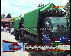 ENAM TRUK BERMUATAN KAYU ILEGAL DIAMANKAN POLISI
