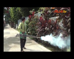 CEGAH DBD DENGAN MEMBASMI JENTIK DAN SARANG NYAMUK_100