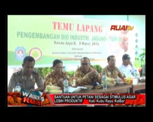 BANTUAN UNTUK PETANI SEBAGAI STIMULUS AGAR LEBIH PRODUKTIF0