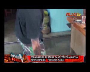 PENANGANAN PERTAMA SAAT TERKENA GIGITAN HEWAN RABIES_10
