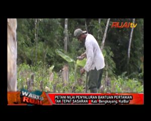 PETANI NILAI PENYALURAN BANTUAN PERTANIAN TAK TEPAT SASARAN_10