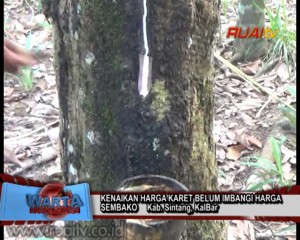 KENAIKAN HARGA KARET BELUM IMBANGI HARGA SEMBAKO_10