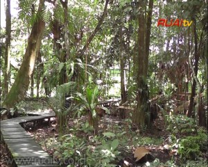 MASYARAKAT DIMINTA BERPERAN DALAM PELESTARIAN BUMI_10
