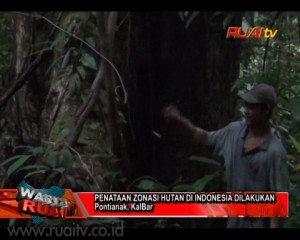 PENATAAN ZONASI HUTAN INDONESIA HARUS DILAKUKAN_10