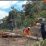 tradisi menugal di ladang_ruai.tv