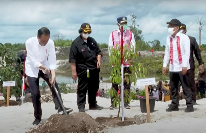 Presiden tanam pohon di lokasi PETI Sintang