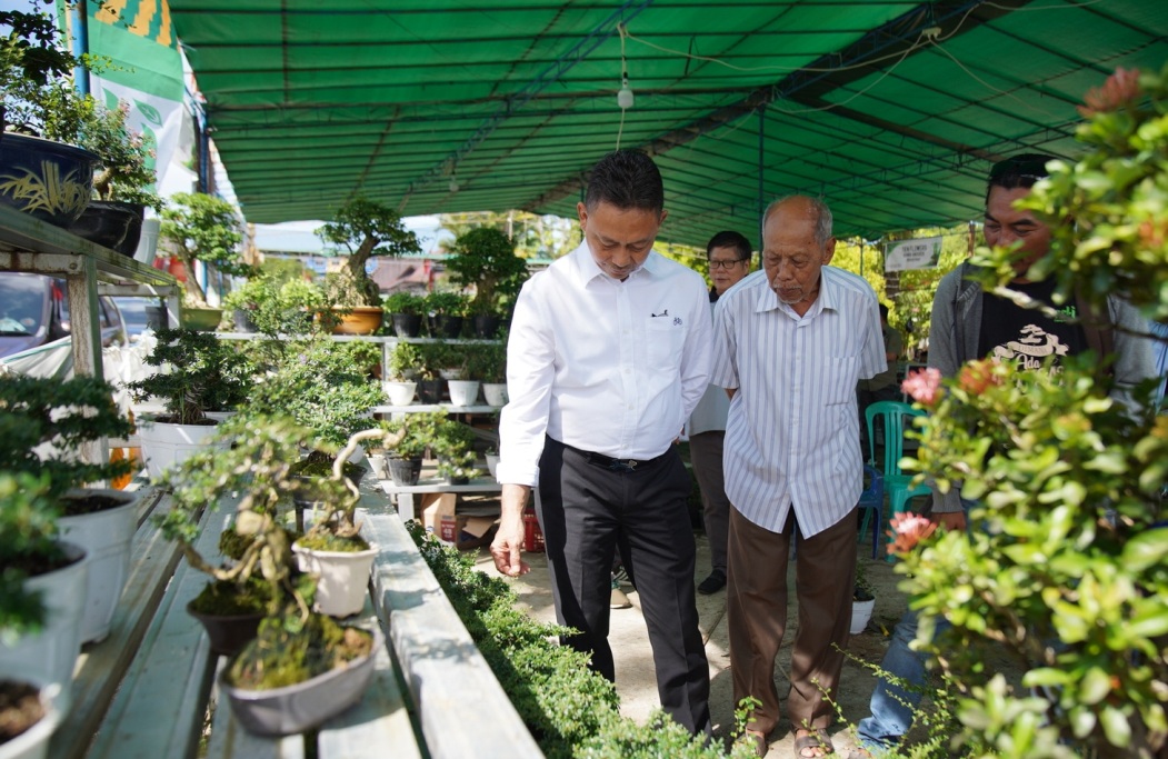 bonsai pontianak