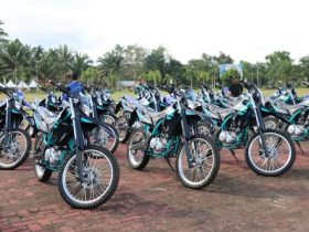 desa mandiri