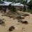 Pemukiman Warga Anjongan Terancam Tanah Longsor