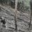 Lansia di Bonti Tewas Kena Luka Bakar di Ladang