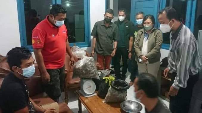 jual sisik trenggiling