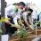 tanam pohon di pontianak_prokopim_ruai.tv
