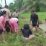 tenggelam di parit PTPN Ngabang_ruai.tv
