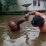 3 Kecamatan di Ketapang Kena Banjir, Rute ke Pontianak Lewat Jalur Alternatif