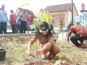 Landak Ubah Bekas Areal PETI jadi Taman
