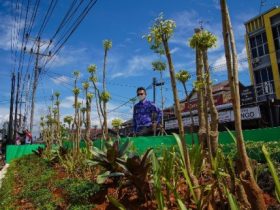 Kabel Semerawut di Kawasan Taman Parit Nanas