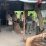 Pedagang Protes Pembongkaran Kios di Sekitar RSUD Soedarso