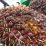 harga sawit - curi buah sawit