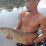 ikan arwana mati karena