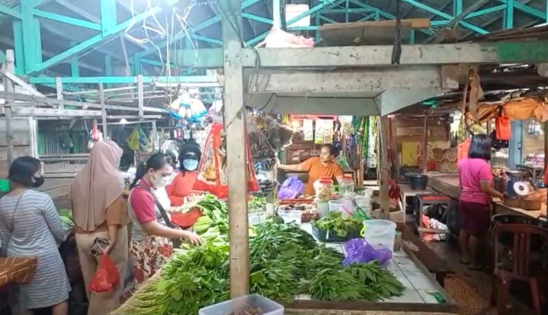harga sawi naik