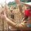 video Bupati Karolin