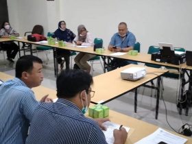 daftar harga sawit terbaru