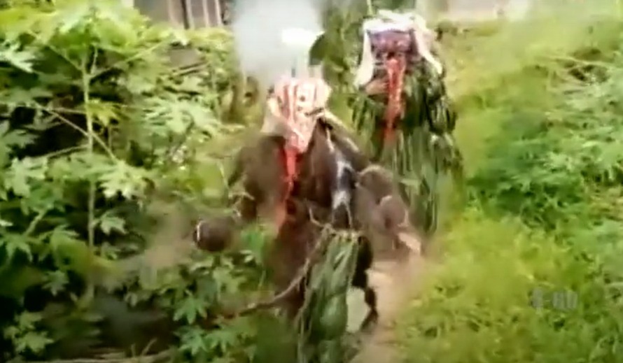 video tradisi dayak babukong