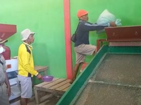 lumbung pangan