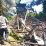 kandang ayam terbakar