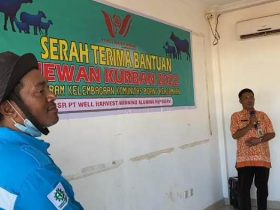 PT WHW Ketapang
