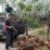 harga sawit anjlok