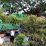tronton senggol pohon