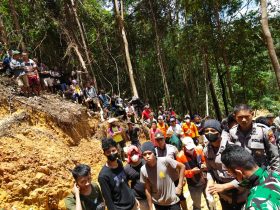pekerja tambang emas meninggal