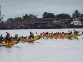lomba dayung pontianak