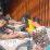 HUT TNI 77