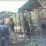 perambah hutan