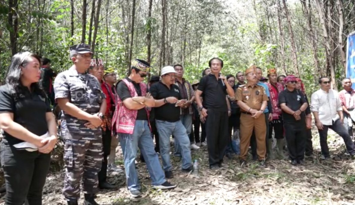 Kodamal Pangsuma
