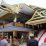 rumah adat bugis pontianak